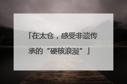 在太仓，感受非遗传承的“硬核浪漫”